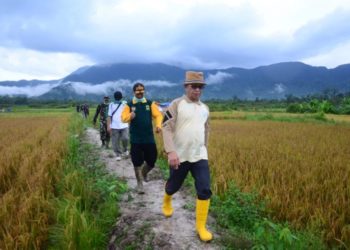 Kementan Laporkan Kepri Defisit Beras, Bupati Usulkan Cetak Sawah Baru Ke Menteri BUMN