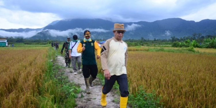 Kementan Laporkan Kepri Defisit Beras, Bupati Usulkan Cetak Sawah Baru Ke Menteri BUMN