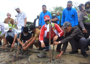 Wakil Bupati Karimun Resmikan Penanaman 1.000 Pohon Magrove