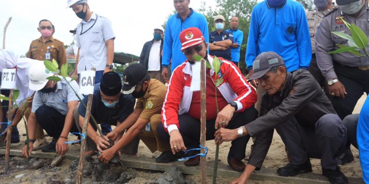 Wakil Bupati Karimun Resmikan Penanaman 1.000 Pohon Magrove