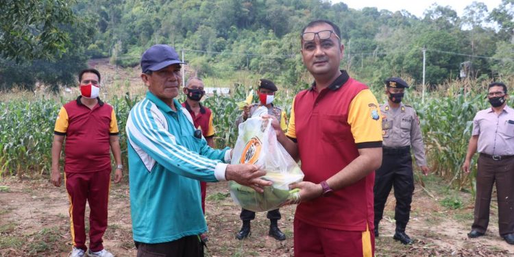 Dukung Ketahanan Pangan, Polres Lingga Panen Jagung