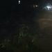 Penebangan Pohon Di Jalan R Oesman Makan Korban