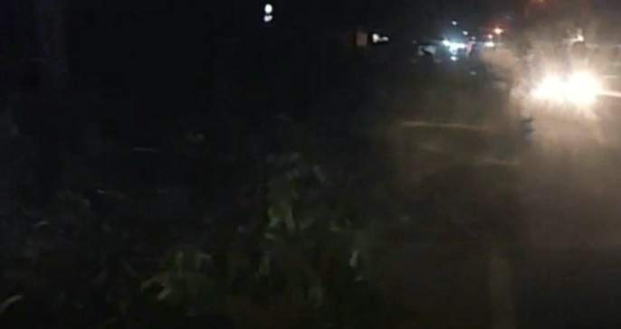 Penebangan Pohon Di Jalan R Oesman Makan Korban