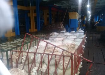 Diduga Ada Penambangan Timah Ilegal di Pekajang Kabupaten Lingga