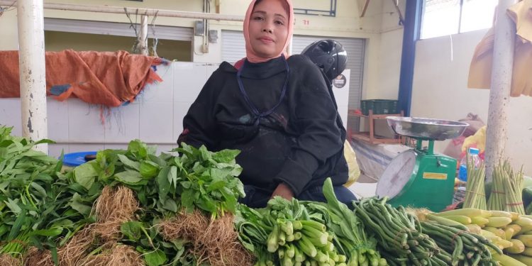 Faktor Hujan, Harga Sayur Melojak Di Karimun