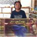 Ikan Cupang, Hobby  Baru Bagi Kaum Bapak Bapak Di Karimun