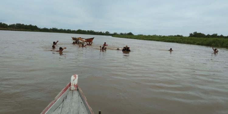 Jadi Makanan Favorit, Warga Singkil Mencari Lokan Di Sarang Buaya