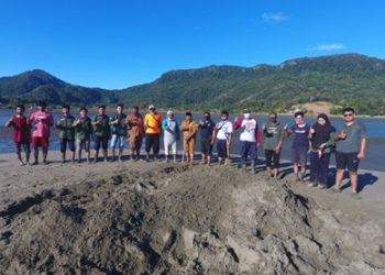 Sempat Dikuburkan, Bangkai Paus Baleen Akan Direkonstruksi Ulang