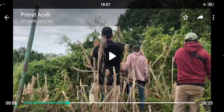 Jadi Primadona Pecinta Alam, Sazali: Rawa Singkil  Dijuluki Hutan Amazon Aceh