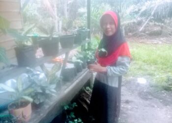Mamfaatkan Waktu Selama Pandemik, Uci IRT Warga Aceh Singkil Salurkan Hobbi Menanam Bunga