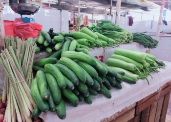 Sayur Melimpah, Harga Di Pasar Turun Drastis