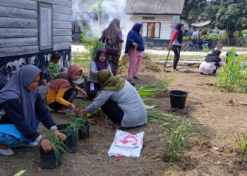 TP PKK Desa Sei Piring Kampayekan Tanam Toga Di Lingkungan Rumah