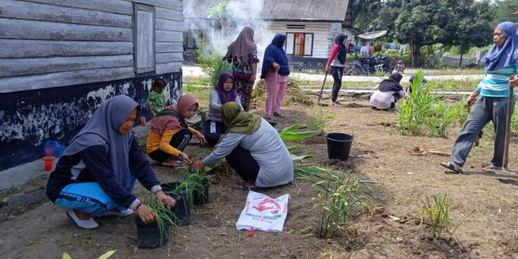 TP PKK Desa Sei Piring Kampayekan Tanam Toga Di Lingkungan Rumah