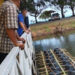 Ketua DPRD Lingga Tinjau Budidaya Kepiting Di Desa Batu Berdaun