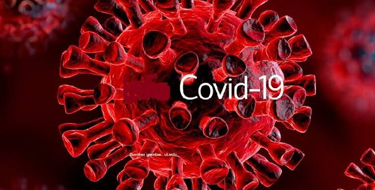 Kakek Usia 74 Tahun Terkonfirmasi Positif Virus Corona Di Natuna