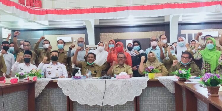 Verifikasi Lapangan APE Di Karimun Digelar Secara Daring