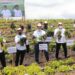 Panen Perdana di Food Estate Humbang Hasundutan, Menko Luhut: Hasilnya Sangat Baik