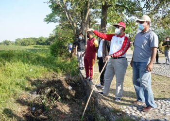 Pemda Karimun Dukun Pembersihan Danau Dari Eceng Gondok