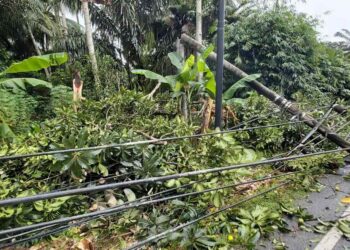 Tiang Listrik Tumbang, PLN Berlakukan Pemadaman Bergilir