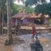 Banjir Di Palas Diduga Akibat Perambahan Hutan Dan Illegal Logging