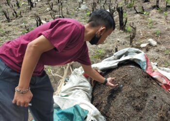 Petani Muda CCN Usulkan Pembagian Pupuk Subsidi Sesuai Kebutuhan Petani