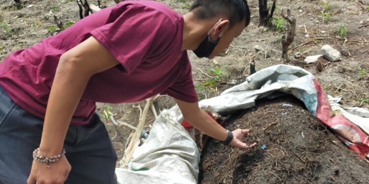 Petani Muda CCN Usulkan Pembagian Pupuk Subsidi Sesuai Kebutuhan Petani