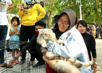Jelang Ramadhan ICA Batam Karimun Gelar Meet And Greet Konsultasi Kucing