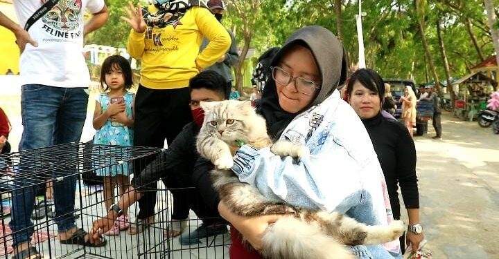 Jelang Ramadhan ICA Batam Karimun Gelar Meet And Greet Konsultasi Kucing