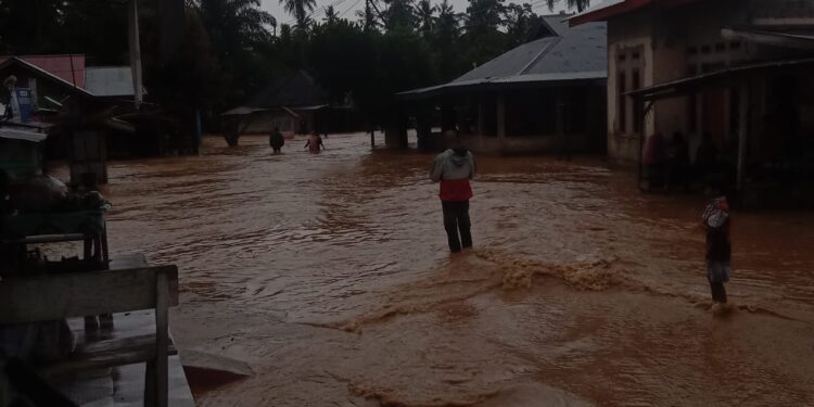 Volume Air Terus Naik, Ratusan Rumah Terendam Banjir Warga Rohul Resah