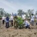 Bupati Asahan Hadiri Tanam Perdana Kemitraan Fasilitasi Pembangunan Kebun PT BSP Tbk Dengan Gapoktan Sinar Lestari