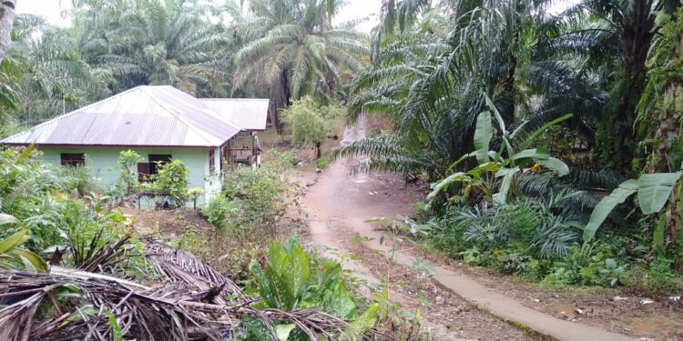 Kapung Padang Bolak 45 Tahun Menanti Perbaikan Jalan