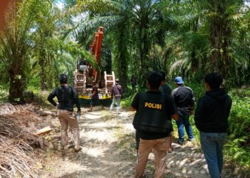 BAI Menilai, Pelaku Pengerusakan HUtan Lindung Pantas Dihukum Berat