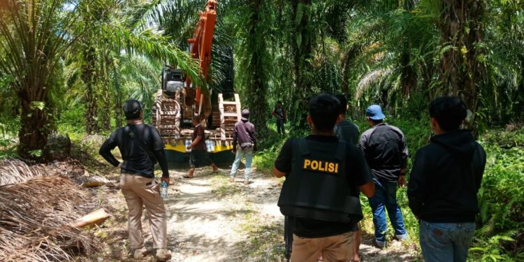 BAI Menilai, Pelaku Pengerusakan HUtan Lindung Pantas Dihukum Berat