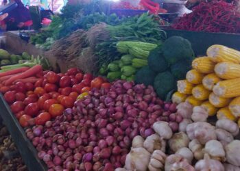 Harga Sayur Melonjak Di Pasar Puan Maimun