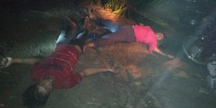 Akibat Kabel PLN Tertimpa Pohon Sawit, Ibu Dan Anak Tewas Tersengat Listrik