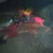 Akibat Kabel PLN Tertimpa Pohon Sawit, Ibu Dan Anak Tewas Tersengat Listrik