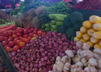 Harga Sayur Kembali Normal Di Pasar Puan Maimun