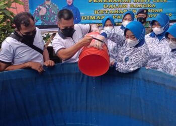 Lanal TBK, Budidaya 2000 Ikan Lele Dan 1000 Ikan Nila Dengan Teknik Bioflok