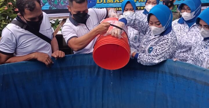 Lanal TBK, Budidaya 2000 Ikan Lele Dan 1000 Ikan Nila Dengan Teknik Bioflok