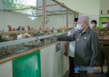 Bupati Asahan Tinjau TPS 3R Dukung Optimalisasi Sampah Organik Untuk Pakan Unggas
