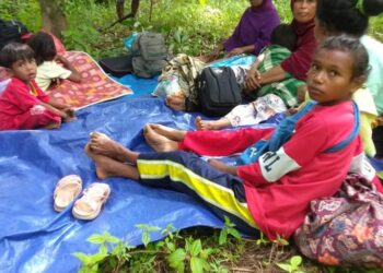 BNPB Terus Monitor Dampak Gempa M 6,1 Di Maluku, Ini Perkembangannya