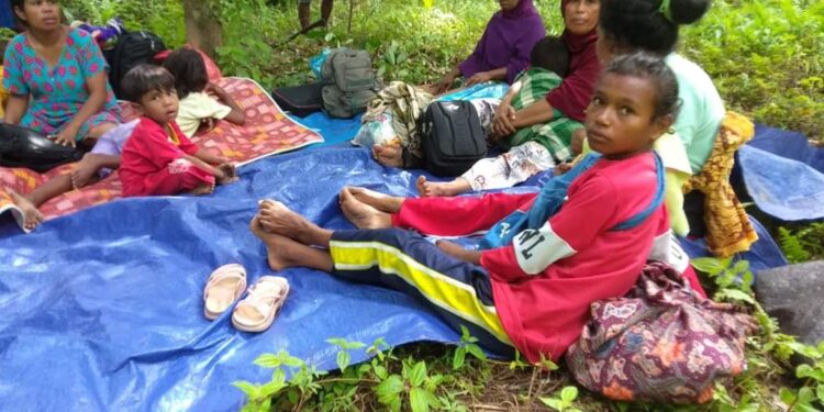 BNPB Terus Monitor Dampak Gempa M 6,1 Di Maluku, Ini Perkembangannya