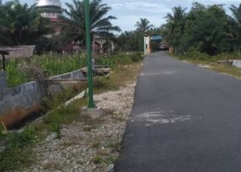Lampu Jalan Di Desa Suka Damai Aceh Singkil Menjadi Iyasan Semata
