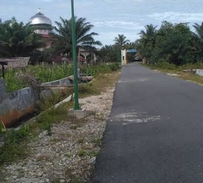 Lampu Jalan Di Desa Suka Damai Aceh Singkil Menjadi Iyasan Semata