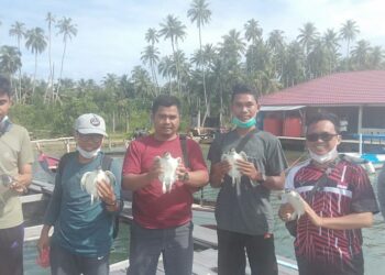 Yayasan Ujung Batu Lestari Teluk Nibung, jaga alam dan lingkungan untuk kelestarian Penyu