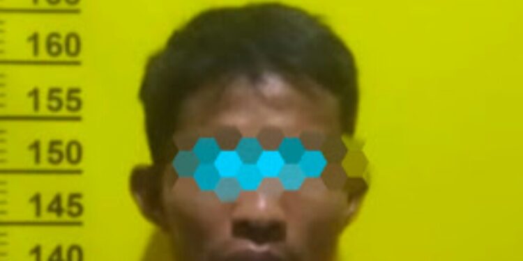 Korban Selalu Diancam, ST Pelaku Pemerkosaan Akhirnya Ditangkap