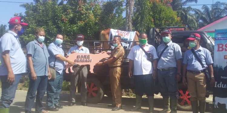 Jelang Idul Adha 1442 H PT Bridgestone Rubber Estate Salurkan Hewan Qurban