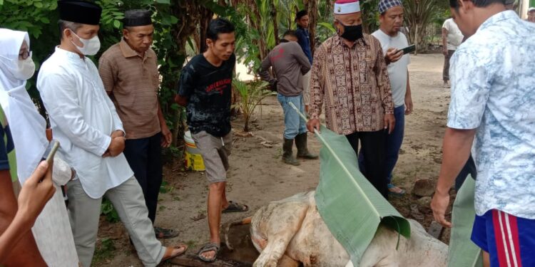 Camat Rahuning Ikut Berkurban Bersama Jamaah Masjid Al Hidayah Dusun V Desa Rahuning I