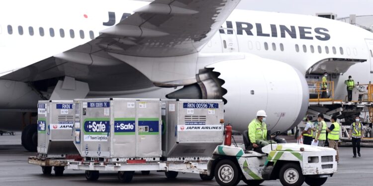 998.400 Vaksin Hibah Pemerintah Jepang Tiba Di Indonesia