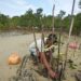 Jaga Kelestarian Pantai, PT Timah Tbk Kembali Tanam 1.800 Bibit Mangrove di Pantai Teluk Desa Kundur